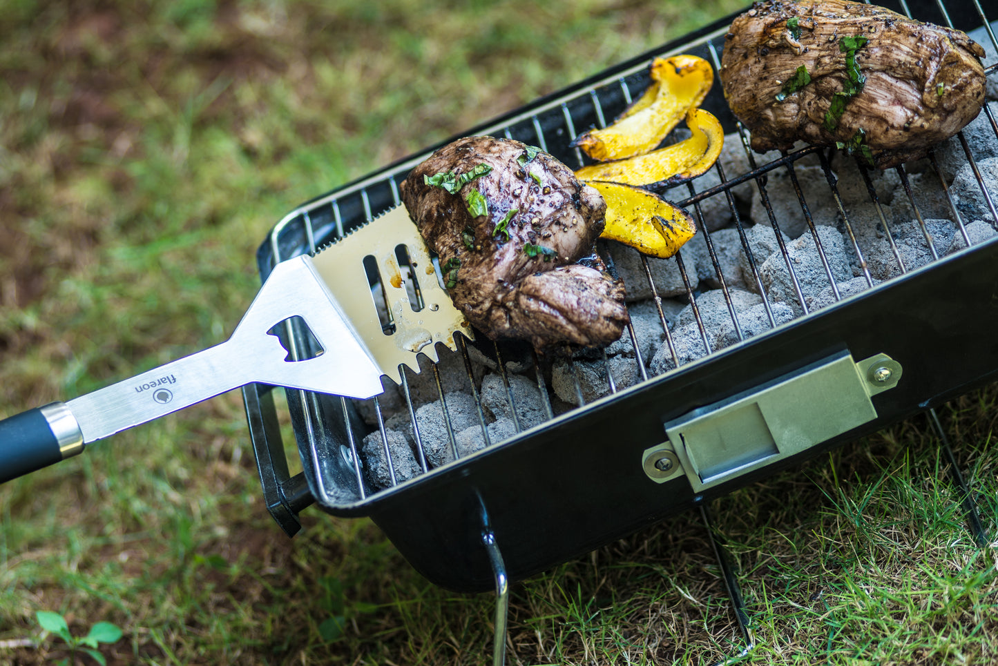 Chameleon Spatula